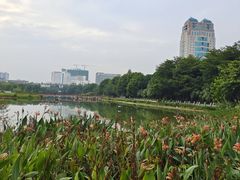 -南宁南湖公园