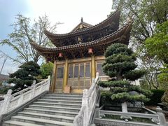 -上海东林寺(金山区)