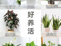 -京东家装(昆明总店)