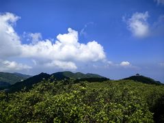 -大围山国家森林公园