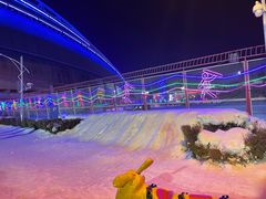 -沈阳奥体冰雪嘉年华