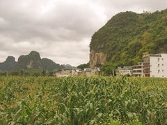 -明仕田园