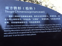 景点-大明山自然探索公园