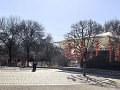 -丰台花园