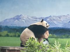 -临沂动植物园