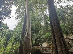 -火炉山森林公园