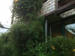 -慢丽江·云南野生菌土鸡锅(付家庄店)