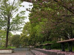 -复旦大学附属华山医院(浦东院区)