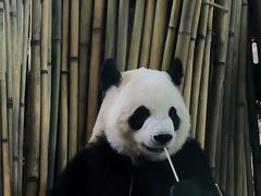 -泉州海丝野生动物世界