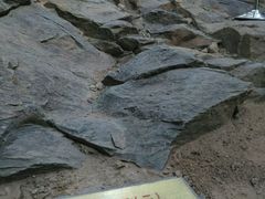 -中国第四纪冰川遗迹陈列馆