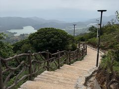 -大姆山草场