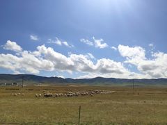 -青海湖国家重点风景名胜区