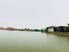 -柏鮨寿司.刺身.定食(米山町地中海店)