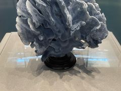 -上海中国航海博物馆