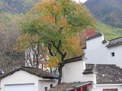 -塔川景区