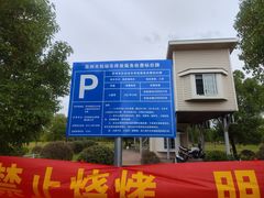-西京湾花海