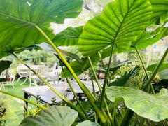 -BOCATA 西班牙餐厅(三里屯店)