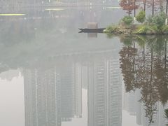 -重庆彩云湖湿地公园