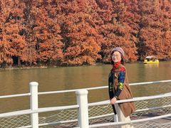 -上海海湾国家森林公园