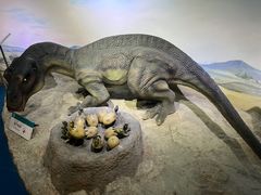 -国家自然博物馆