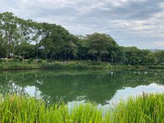 -金银湖国家城市湿地公园