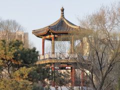 -莲花池公园