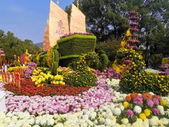 -南山植物园