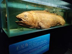 -国家自然博物馆