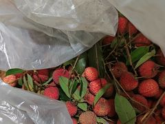 -荔枝红五号农庄