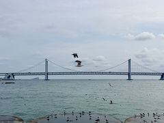 -星海广场
