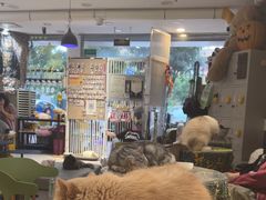 -平行世界·猫咖(首经贸店)