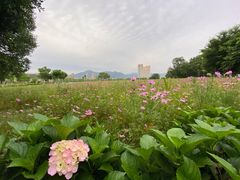 -天台山景区