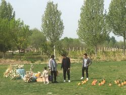 -圣露庄园·草坪婚礼·宴会厅·会议