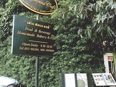 -Fern Forest Cafe