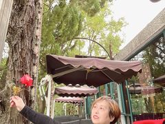 -申粤轩酒楼·三十年粤菜经典(丁香花园店)