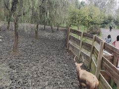 -溱湖国家湿地公园