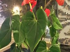 -泰谷酒店·太古码头闽菜自助餐厅