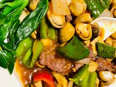 -张记旺角食街(动物园店)