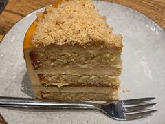 -Wagas沃歌斯(枫蓝国际店)