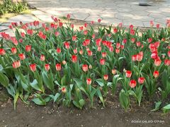 -长春公园(普阳街道)