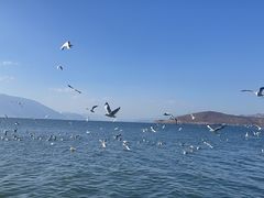 -小普陀