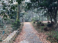 -岳麓山风景名胜区