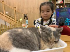 -藦茜花园宠物主题亲子互动体验馆(国顺东路店)