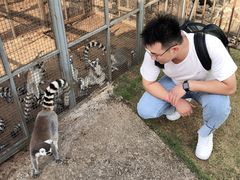 -无锡动物园·太湖欢乐园