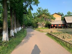 -乌村