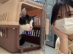 -凯特喵百思猫专科医院