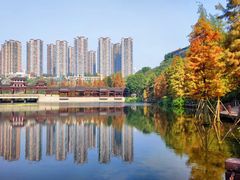 -重庆彩云湖湿地公园