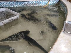 -锅老头铁锅炖•大锅蒸汽海鲜(韩乐坊店)