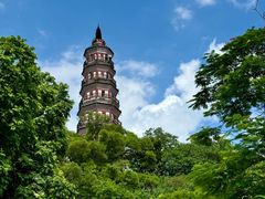 -顺峰山公园