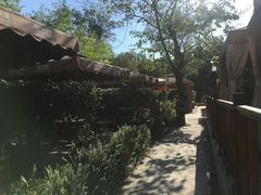 -二荆条·蜀鲜汇城市森林火锅